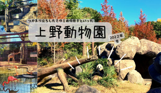 【東京】つかまり立ちし始めた息子を連れて上野動物園に行ってみた！