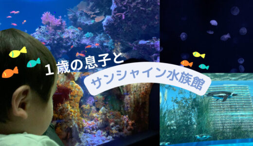 【東京】１歳児と池袋サンシャイン水族館に行ってきた！